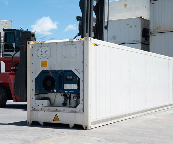 Reefer Container Yard Management